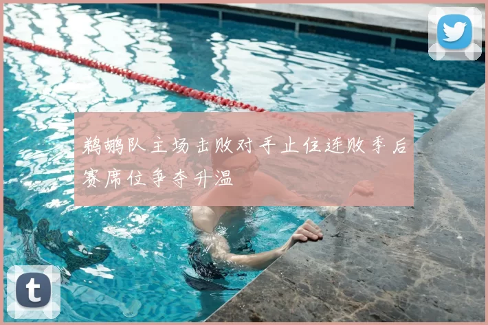 鹈鹕队主场击败对手止住连败季后赛席位争夺升温
