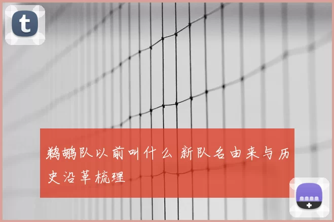 鹈鹕队以前叫什么 新队名由来与历史沿革梳理