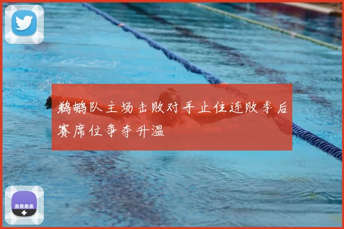 鹈鹕队主场击败对手止住连败季后赛席位争夺升温