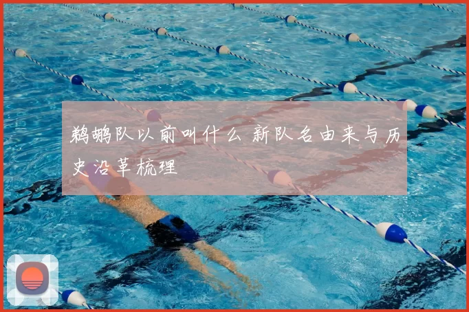 鹈鹕队以前叫什么 新队名由来与历史沿革梳理