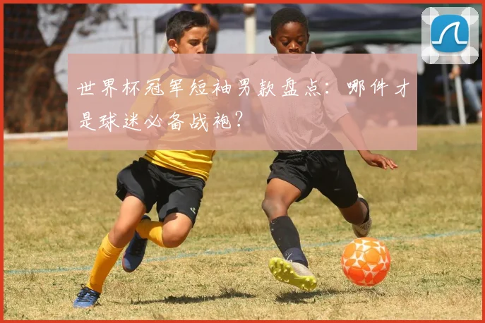 世界杯冠军短袖男款盘点：哪件才是球迷必备战袍？